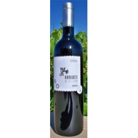 Vino Tinto Crianza Arribes de Vettonia  - 750 ml - D.O. "Arribes" - Variedad Juan García